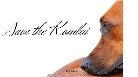 Save the Kombai