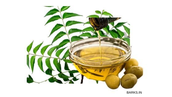 Neem Oil for dog tick home remedy