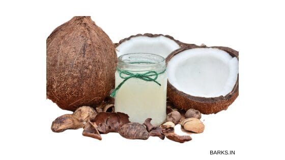 Virgin coconut oil for dog itchy skin