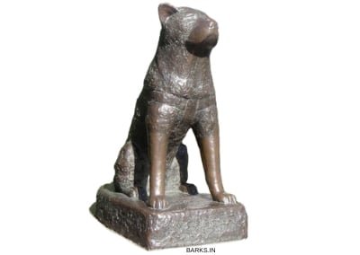 Bronze statue of Hachiko the loyal dog