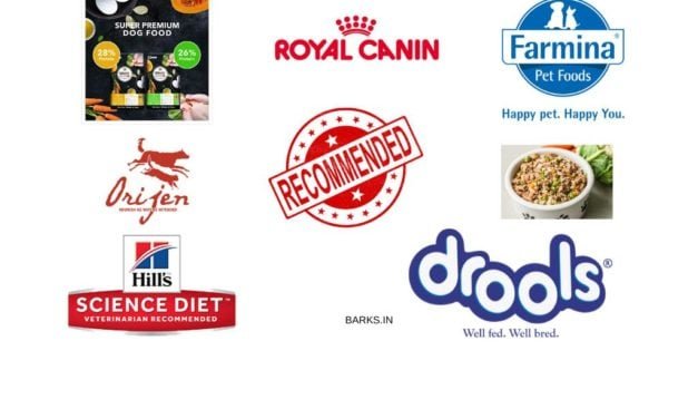 Review of the best Dog Food in India – Expert advice
