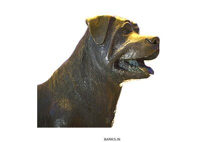 Rottweiler statue