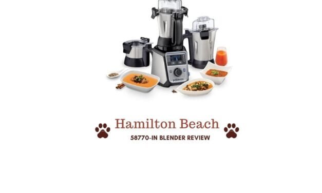 Review of Hamilton Beach 58770-IN Mixie (blender) India